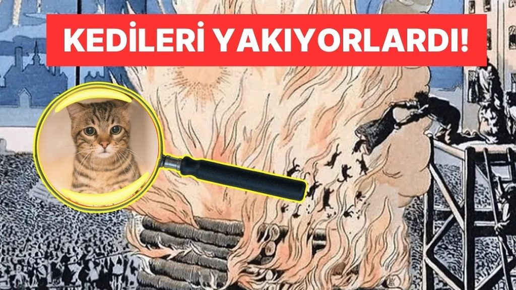 Orta Çağ Avrupa’sında Kedilerin Şeytan İlan Edilip, Yakılarak ve Dövülerek Katledilmesinin Acımasız Tarihi