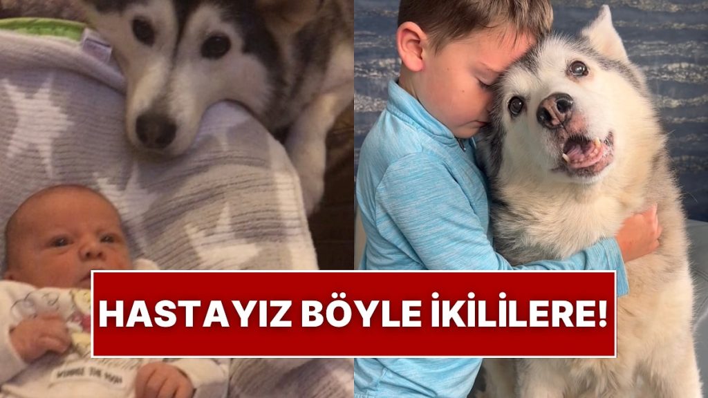 Bebek ile Husky Köpeğin Dostluğu Yıllar Geçtikçe Daha da Güzelleşti