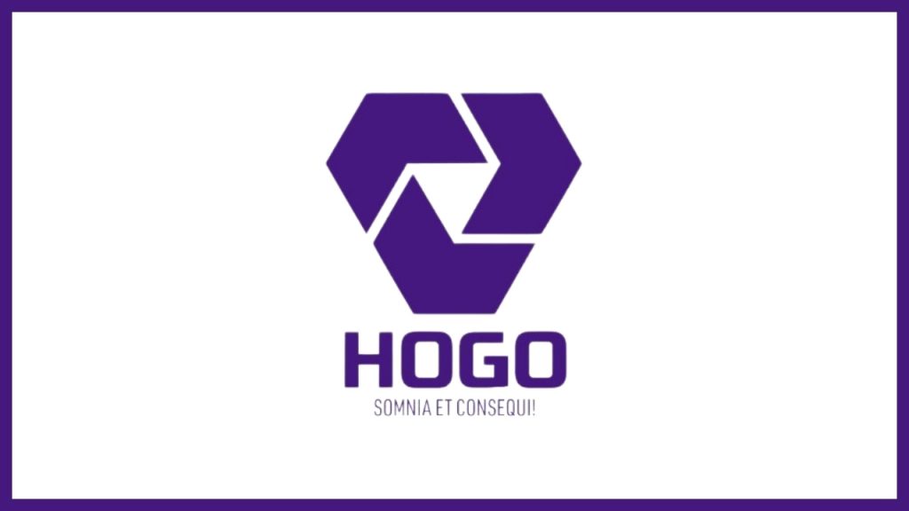 Mobil ve PC oyunları üreten yerli oyun şirketi: HOGO Games