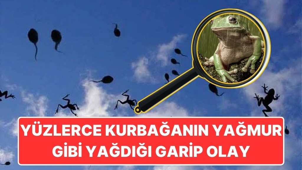 1873 Yılında Kansas’ta Gökten Kurbağaların Yağmur Gibi Yağdığı Garip Olay