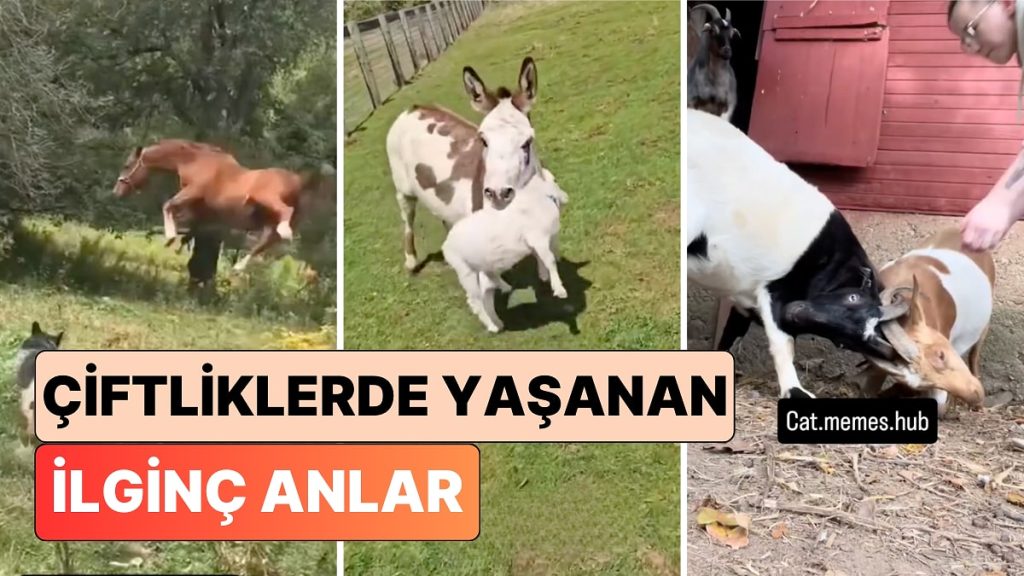 Çiftlik Sahipleri Başlarına Gelen Birbirinden İlginç Olayları Paylaştı
