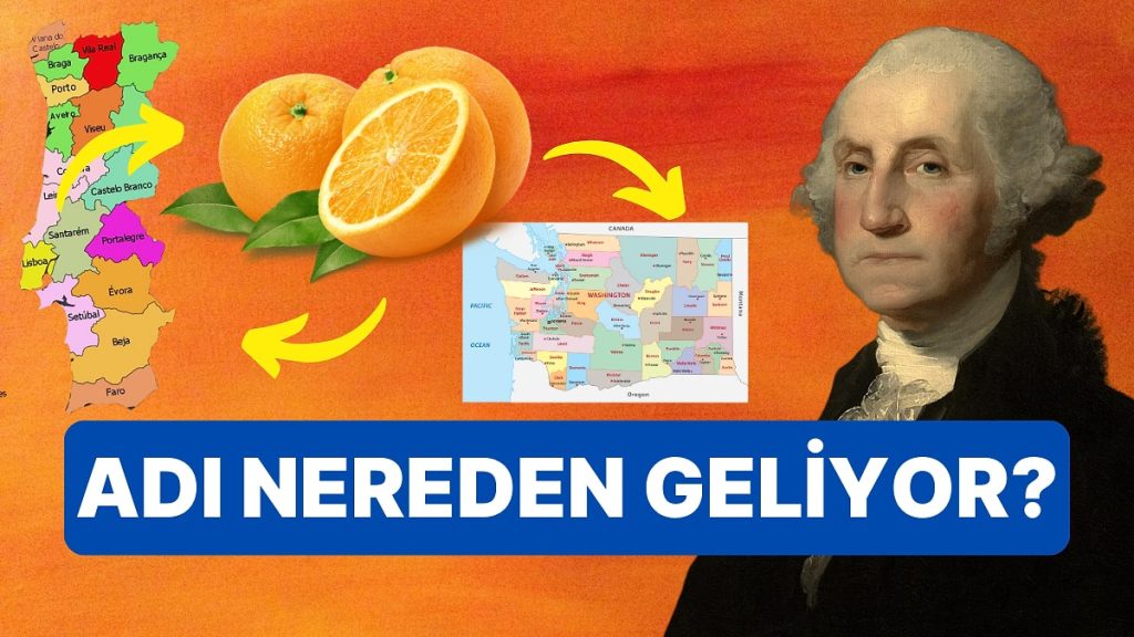 Washington Portakalına Verdiğimiz İsmin Aslında Yanlış Olduğunu Biliyor musunuz?