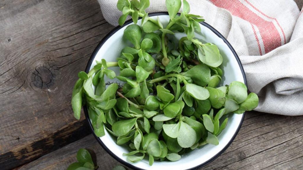 Salata, çorba veya çay olarak tüketilebiliyor: Doğal şifa kaynağı! İçinde yok yok: A, C, E ve B vitamini…