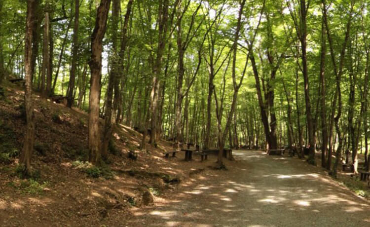Irmak Tabiat Parkı 2025 Giriş Ücretleri
