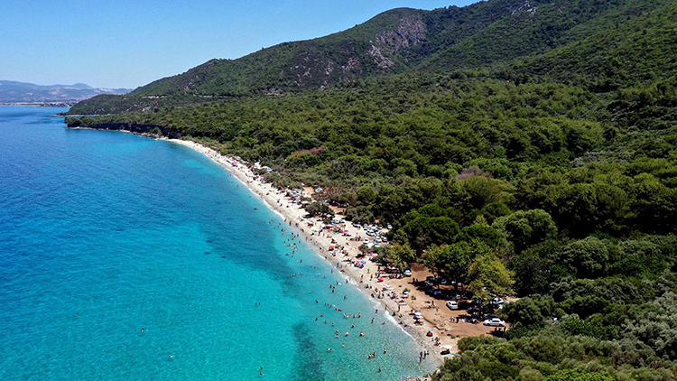 Dilek Yarımadası Milli Parkı Gezi Rehberi 2025