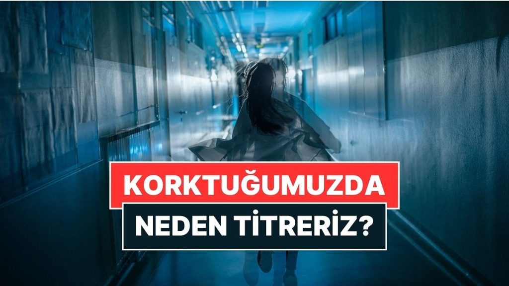 Heyecanlandığımızda veya Korktuğumuzda Neden İstemsizce Titreriz?
