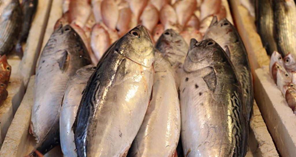 Kalp krizi gelmeden önlem alın! Bu besin kalbinizi zırh gibi korur: Omega-3 açısından zengin balık türleri hangileridir? Harvard Profesörü’nden uyarılar…