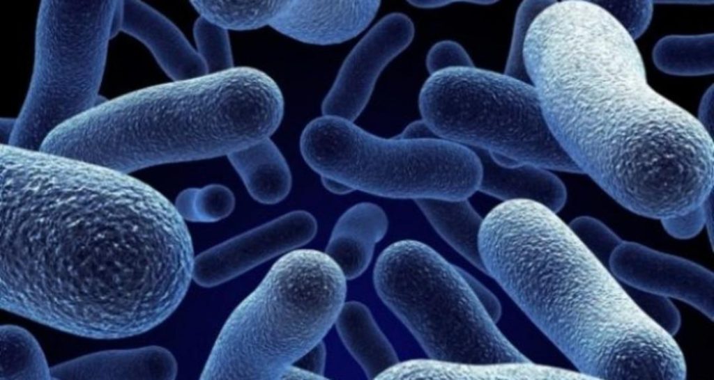 Zehirlenme vakalarında artış var! Baharla birlikte gelen gizli tehlike: Salmonella! Uzmanlar uyarıyor…