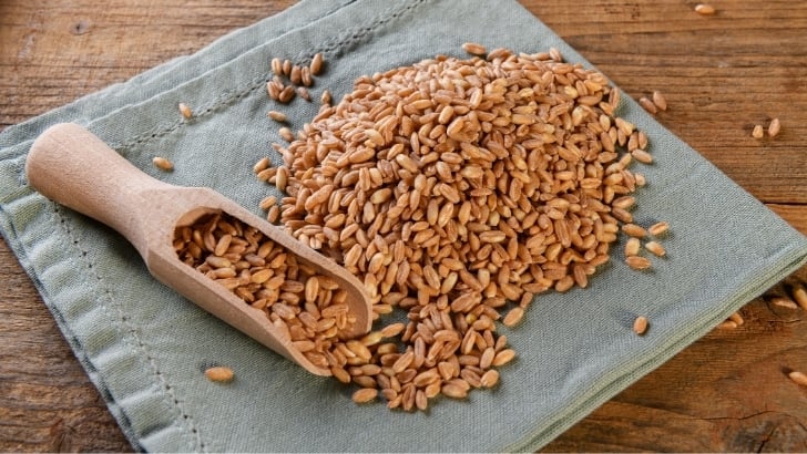 Farro ile beslenmenizi ve sağlığınızı destekleyin
