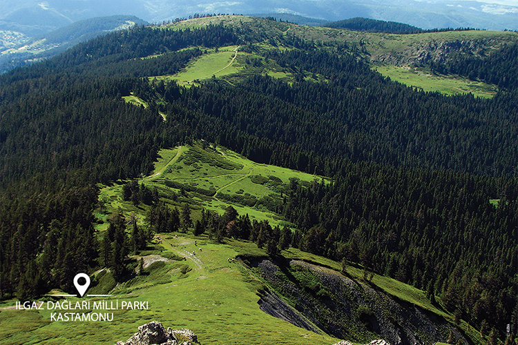 Ilgaz Dağı Milli Parkı Gezi Rehberi 2025