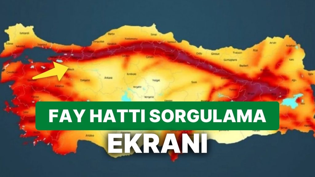 Adresten Fay Hattı Sorgulama Ekranı e-devlet
