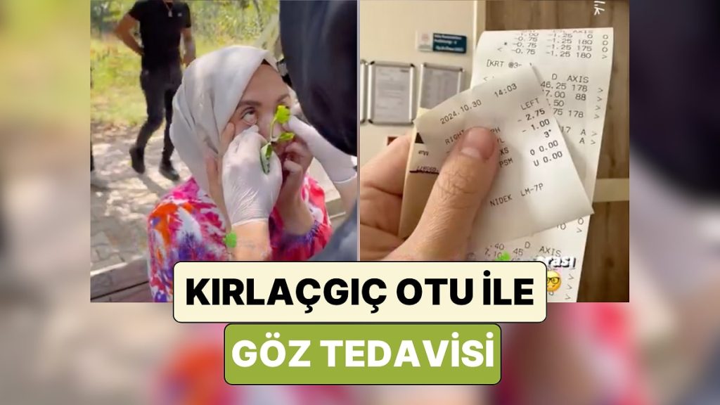 “Kırlangıç Otu” ile Göz Tedavisi