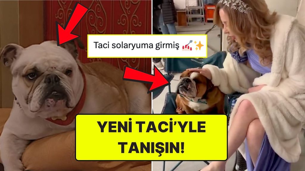 Sihirli Annem’in Taci’sinin Değişimi – Onedio