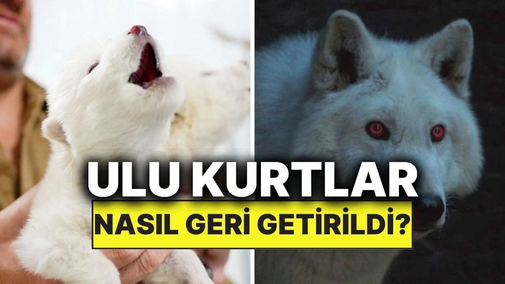 Bilim İnsanları Nesli Tükenmiş Hayvanları Nasıl Geri Getiriyor?