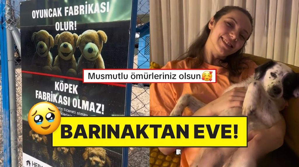 İçimiz Isındı! Barınaktan Köpek Sahiplenen Koca Yürekli Kadın Süreci Anlattı