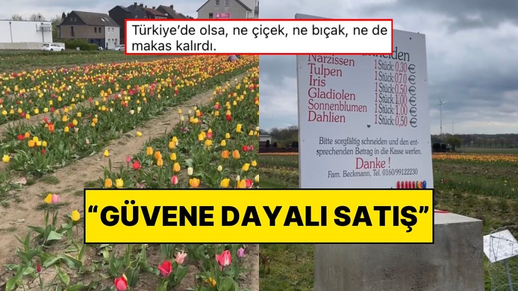 Almanya ile Türkiye’nin Güven Kıyası