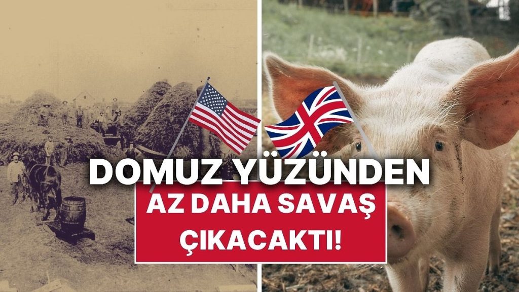 ABD ve İngiltere’nin Domuz Savaşı
