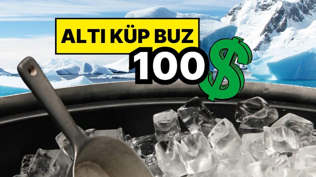 Altı Küp Buz 100 Dolar: Grönland Buzu Altın mı?