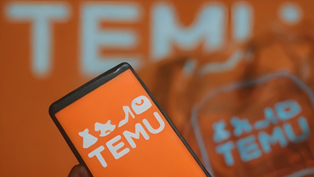 Temu’dan alışveriş yaparken nelere dikkat etmeliyiz?