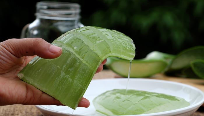 Aloe veranın faydaları nelerdir? Aloe veranın yüze, cilde ve cinsel organa faydaları