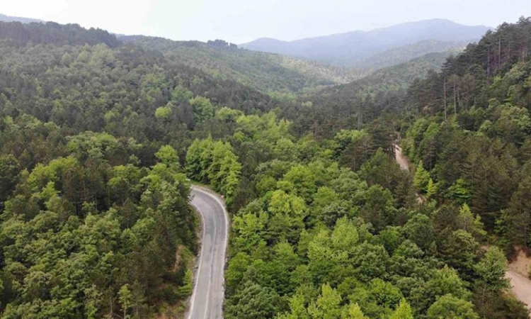 Çanakkale’de Ormanlık Alanlara Giriş Yasaklandı – Çanakkale’de Ormana Giriş Yasak Mı?