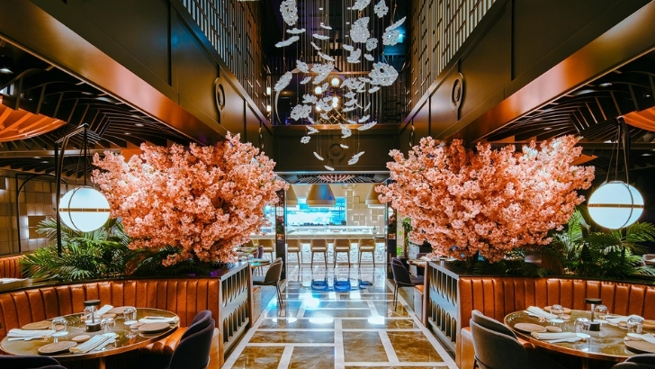 İstanbul’da En Taze Sushi Nerede Yenir? En Popüler Sushi Restoranları!