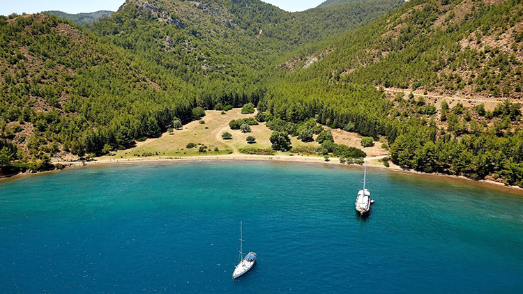 Muğla Ve Antalya’da Ormanlık Alanlara Giriş Yasağı Başladı
