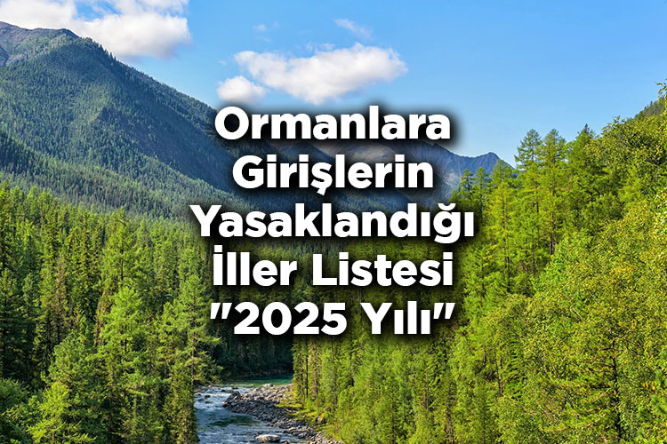 Ormanlara Girmek Yasak Mı? 2025 – Hangi İllerde Ormana Giriş Yasaklandı?