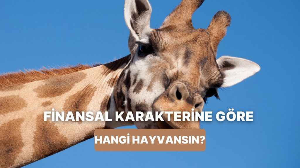 Senin Finansal Karakterin Hangi Hayvan Gibi?