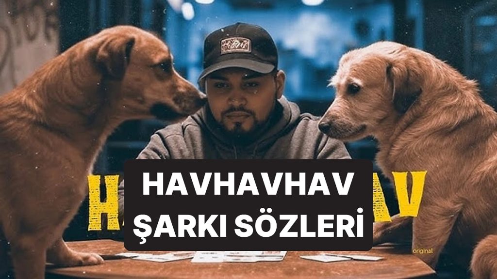 Havhavhav LVBEL C5 Şarkı Sözleri