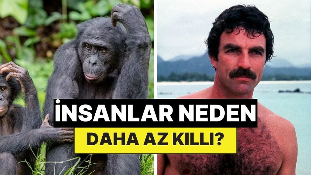 İnsanlar Neden Diğer Memeliler Kadar Kıllı Değil?