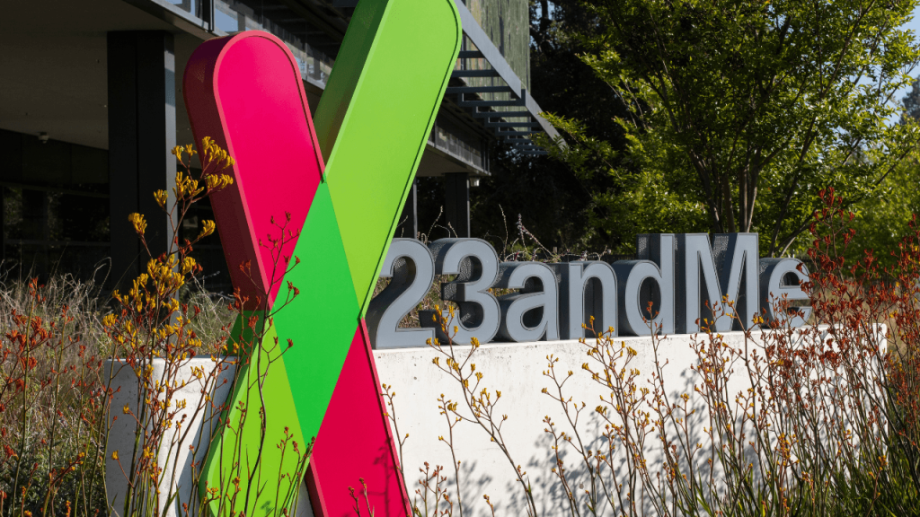 İflas eden 23andMe’nin yeni sahibi, 305 milyon dolarlık teklifle kurucu ortak Anne Wojcicki’nin vakfı oldu