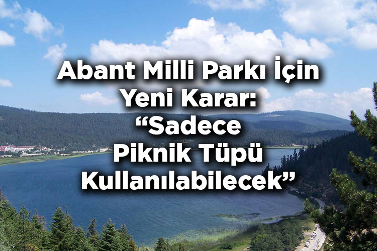 Abant Milli Parkı İçin Yeni Karar: Piknik İçin Sadece Piknik Tüpü Kullanılmasına İzin Verildi, Mangal Yasak