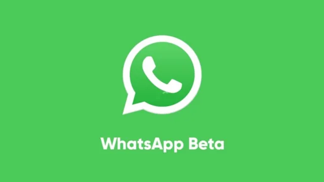 Android için WhatsApp Beta 2.25.19.2 Sohbet Teması Sayısını Artırıyor