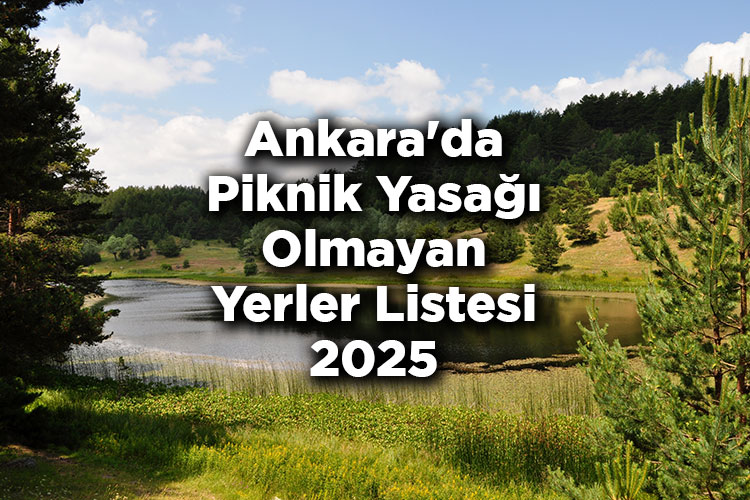 Ankara’da Piknik Yasağı Olmayan Yerler Listesi 2025