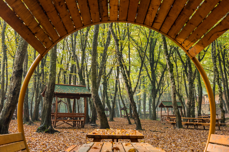 İstanbul’da Piknik Yasağı Olmayan Yerler Listesi 2025