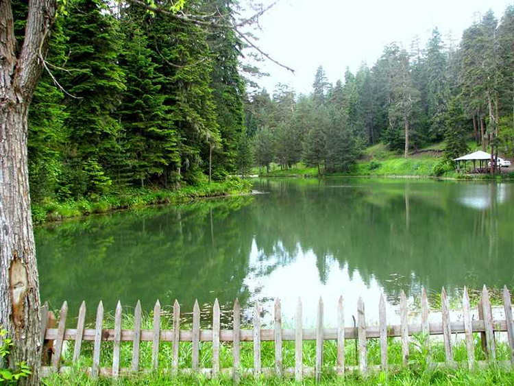 Kastamonu Tosya’da Yer Alan Yeşilgöl Konaklamalı Orman Parkı Girişleri Ücretli Oldu
