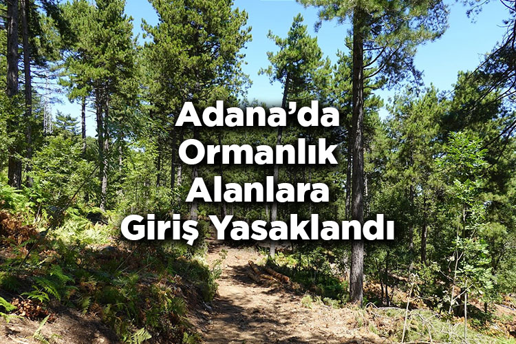 Adana’da Ormanlık Alanlara Giriş Yasaklandı – Adana’da Ormana Giriş Yasak Mı?