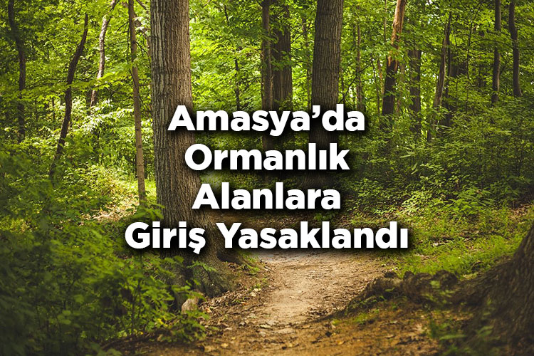 Amasya’da Ormanlık Alanlara Giriş Yasaklandı – Amasya’da Ormana Giriş Yasak Mı?