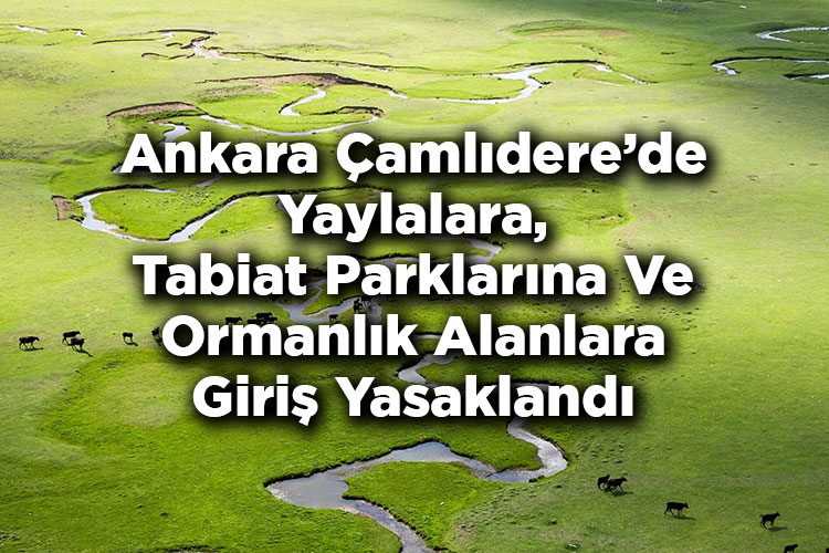 Ankara’da Yasak Kararı: Çamlıdere’de Yaylalara, Tabiat Parklarına Ve Tüm Ormanlık Alanlara Giriş Yasaklandı