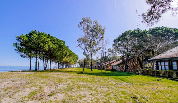 Ordu Çınarsuyu Tabiat Parkı Giriş, Kamp Ve Bungalov Ev Konaklama Ücretleri 2025 Listesi
