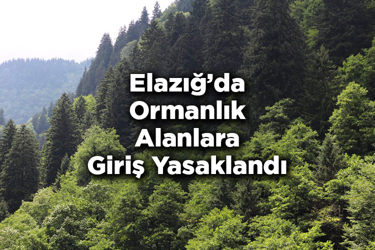 Elazığ’da Ormanlık Alanlara Giriş Yasaklandı – Elazığ’da Ormana Giriş Yasak Mı?