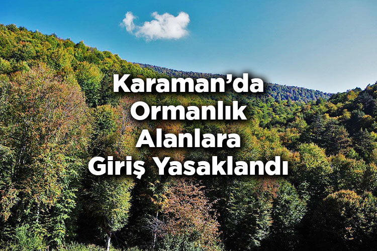 Karaman’da Ormanlık Alanlara Giriş Yasaklandı – Karaman’da Ormana Giriş Yasak Mı?