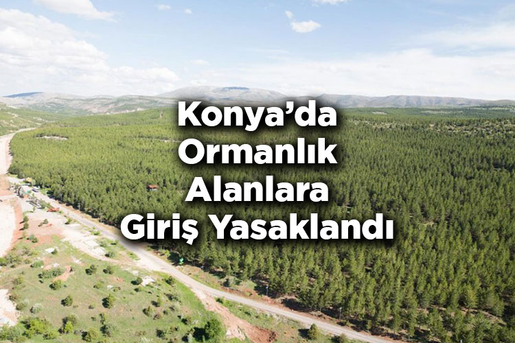 Konya’da Ormanlık Alanlara Giriş Yasaklandı – Konya’da Ormana Giriş Yasak Mı?