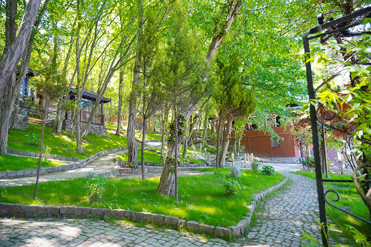 Ordu Fatsa Belediyesi Bungalov Evleri 2025 Konaklama Ücretleri