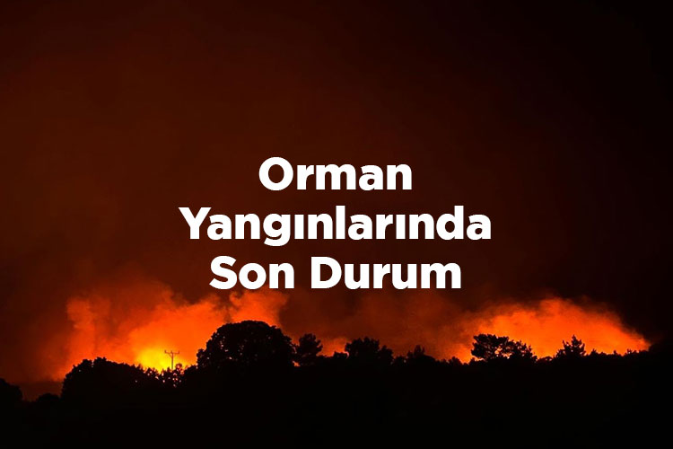 Orman Yangınlarında Son Durum – Kamp Yerleri: Kamp Alanları, Bungalov, Karavan ve Çadır Kampı