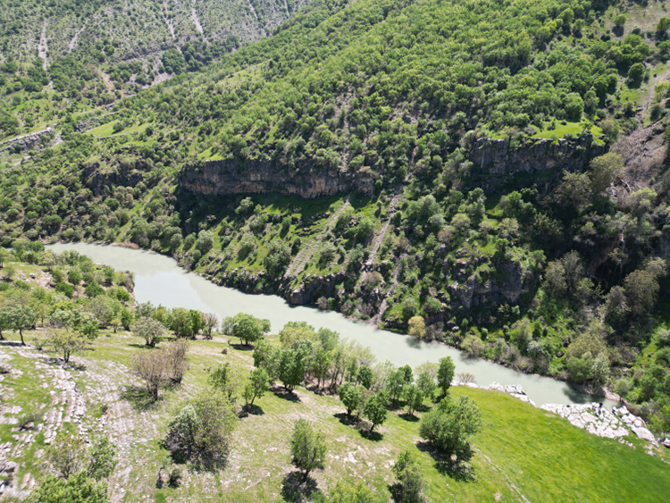 Şırnak’ta Ormanlık Alanlara Giriş Yasaklandı – Şırnak’ta Ormana Giriş Yasak Mı?