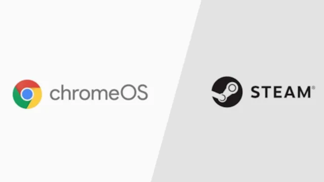 Chromebook için Steam Desteği Sonlandırılıyor