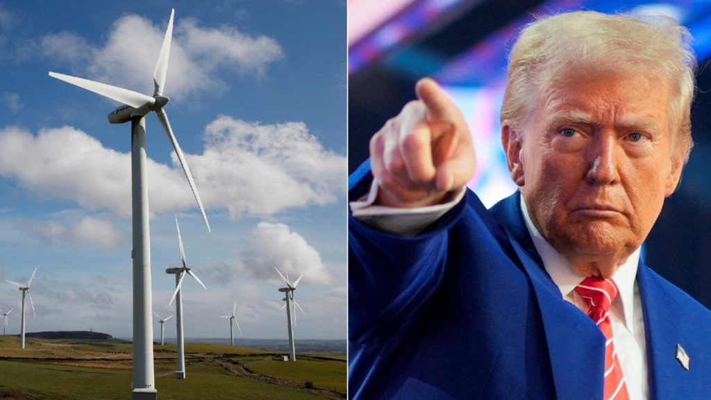 Donald Trump rüzgar enerjisine savaş açtı