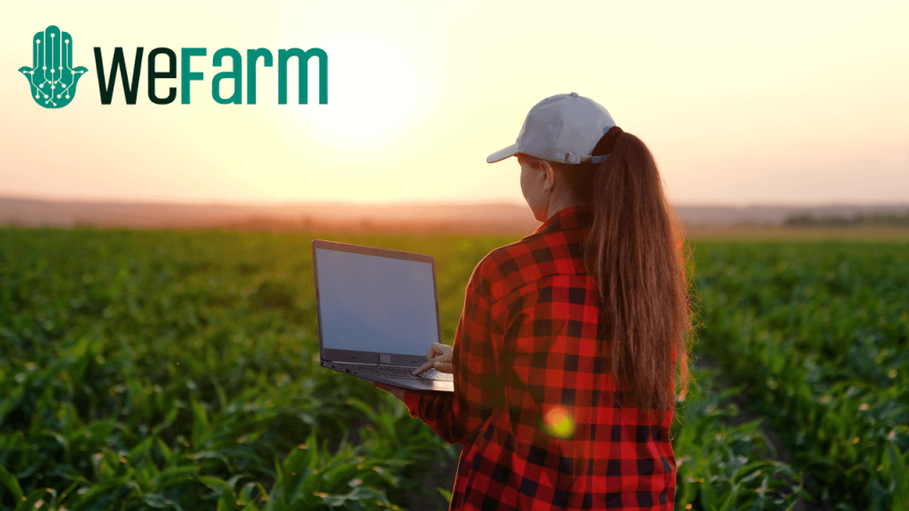Tarım arazilerinden gelir elde etmeyi kolaylaştıran platform: WeFarm